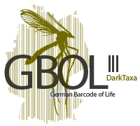 GBOL III Logo